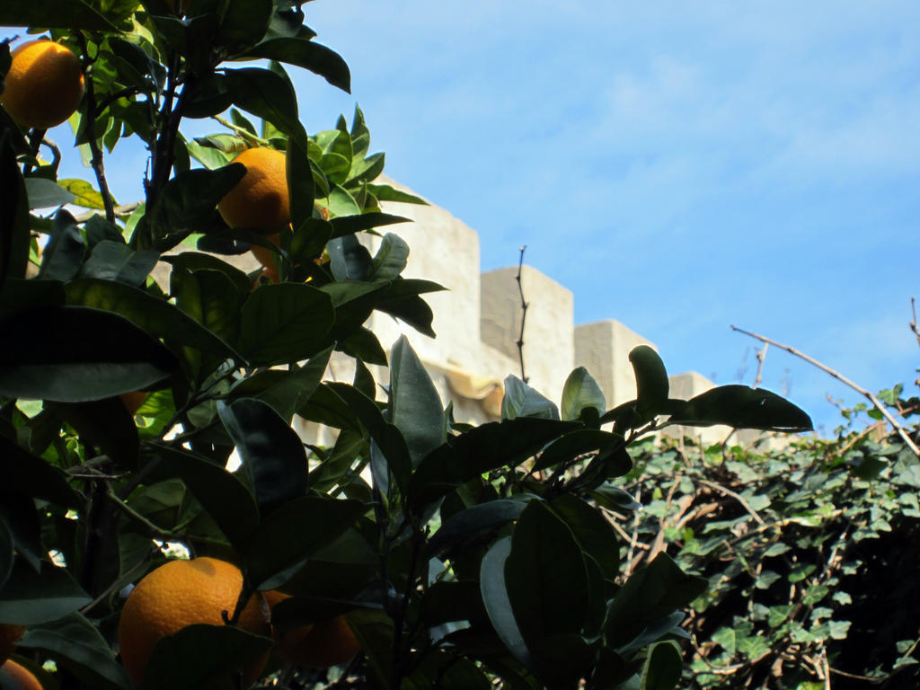 Candalu - Giardinata Bed & Breakfast 3*