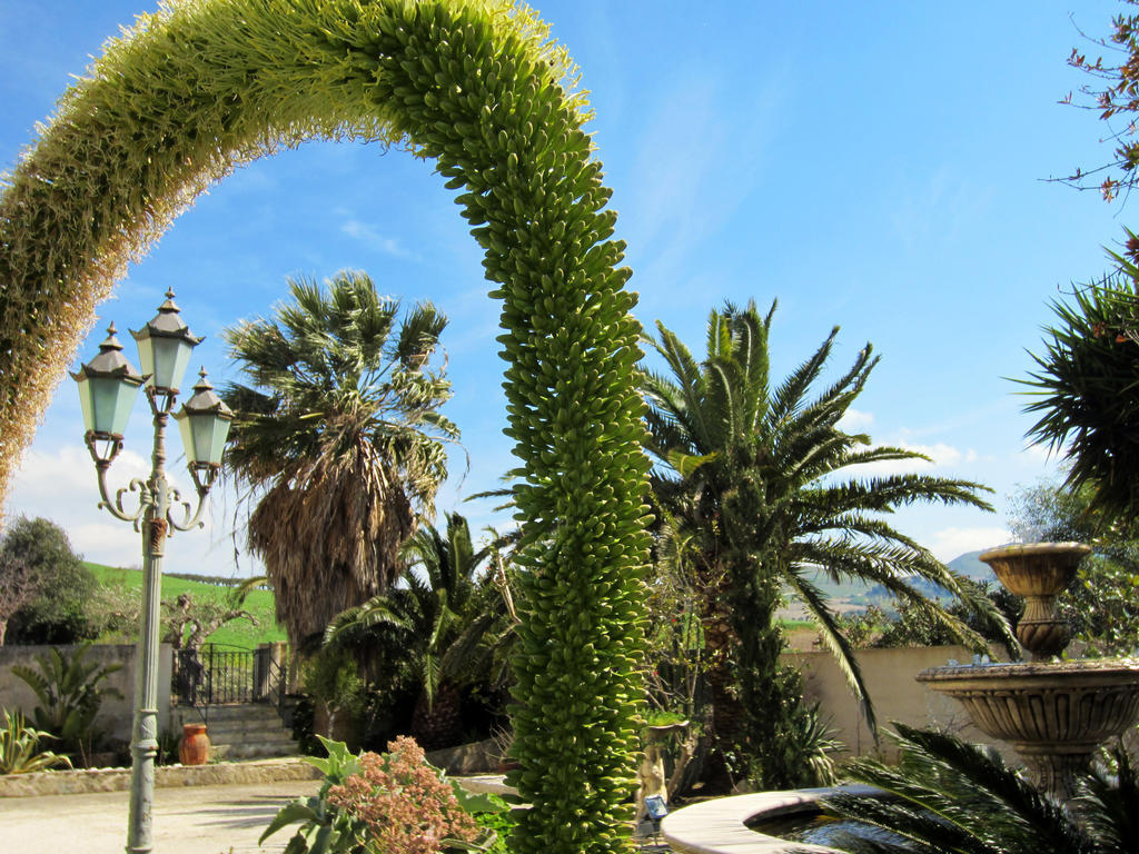 Candalu - Giardinata Bed & Breakfast 3*