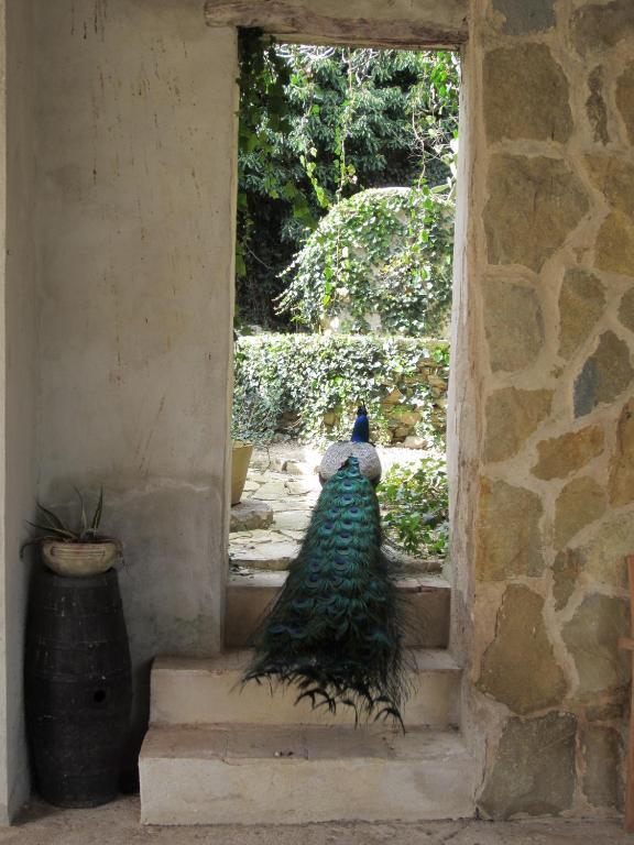 Candalu - Giardinata Bed & Breakfast