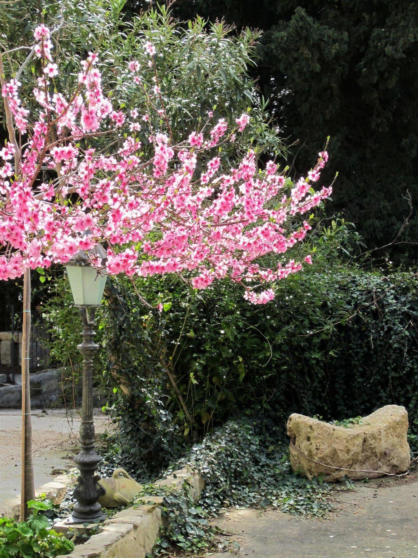 Candalu - Giardinata Bed & Breakfast Valderice