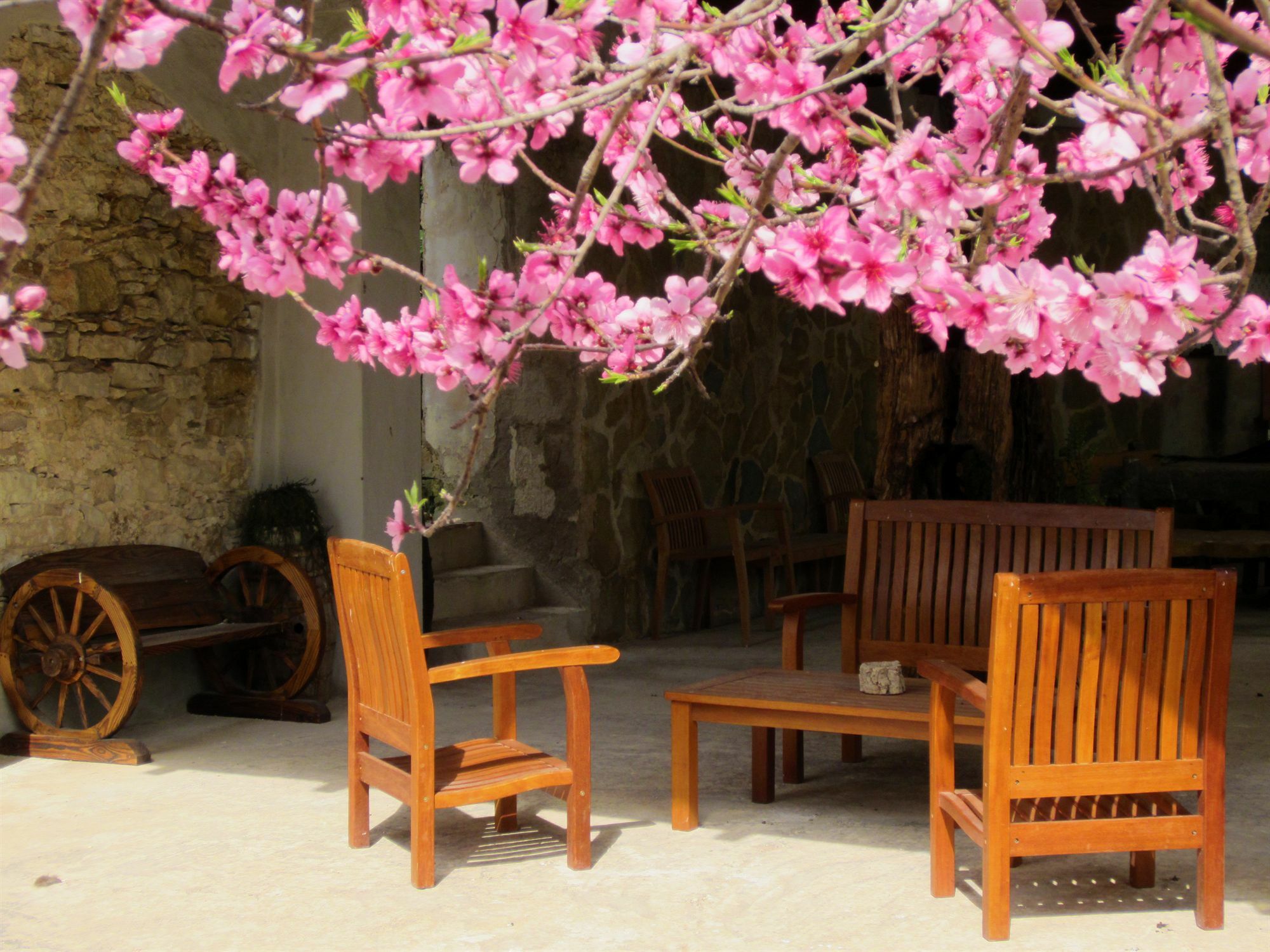 Bed & Breakfast Candalu - Giardinata Valderice