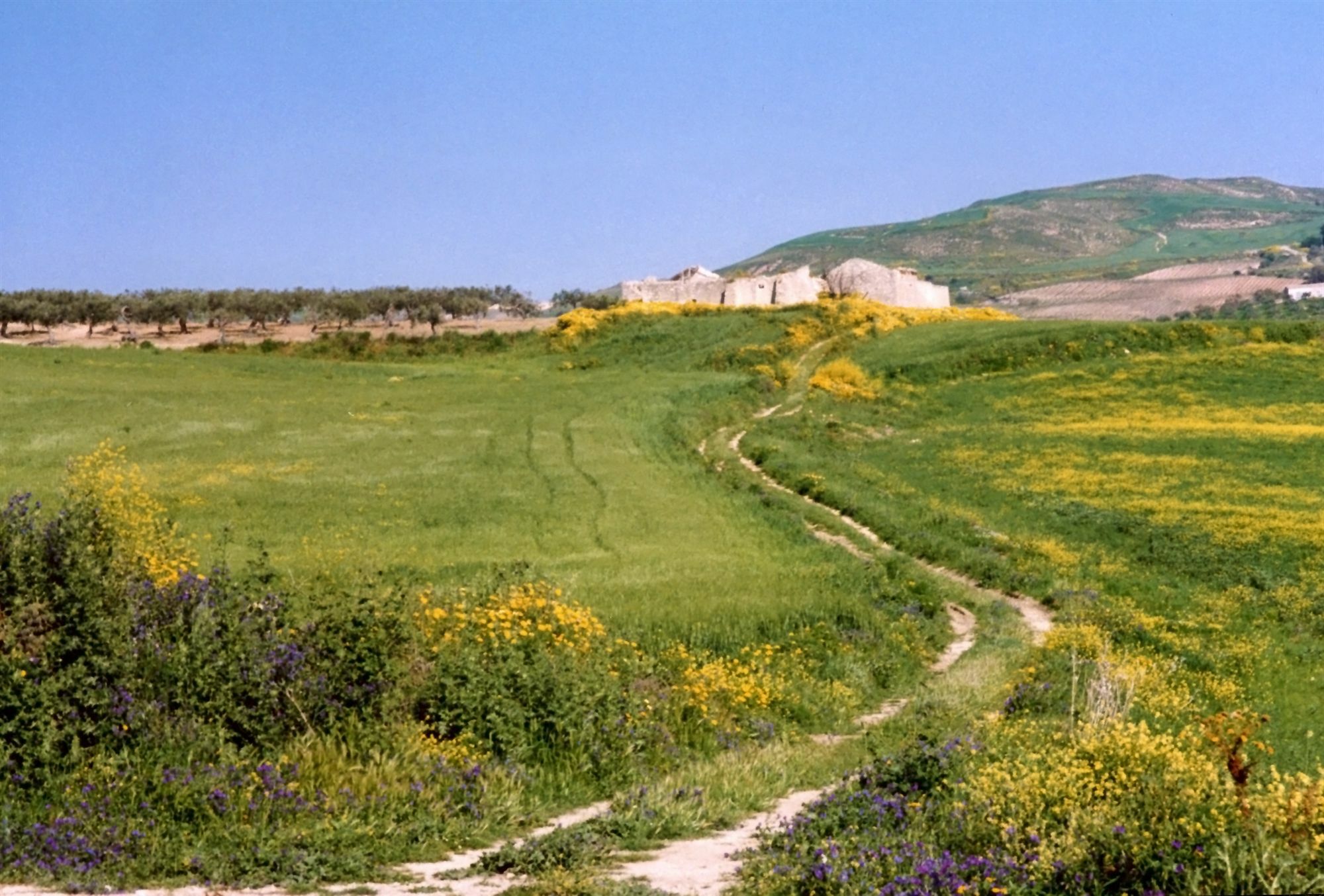 Candalu - Giardinata