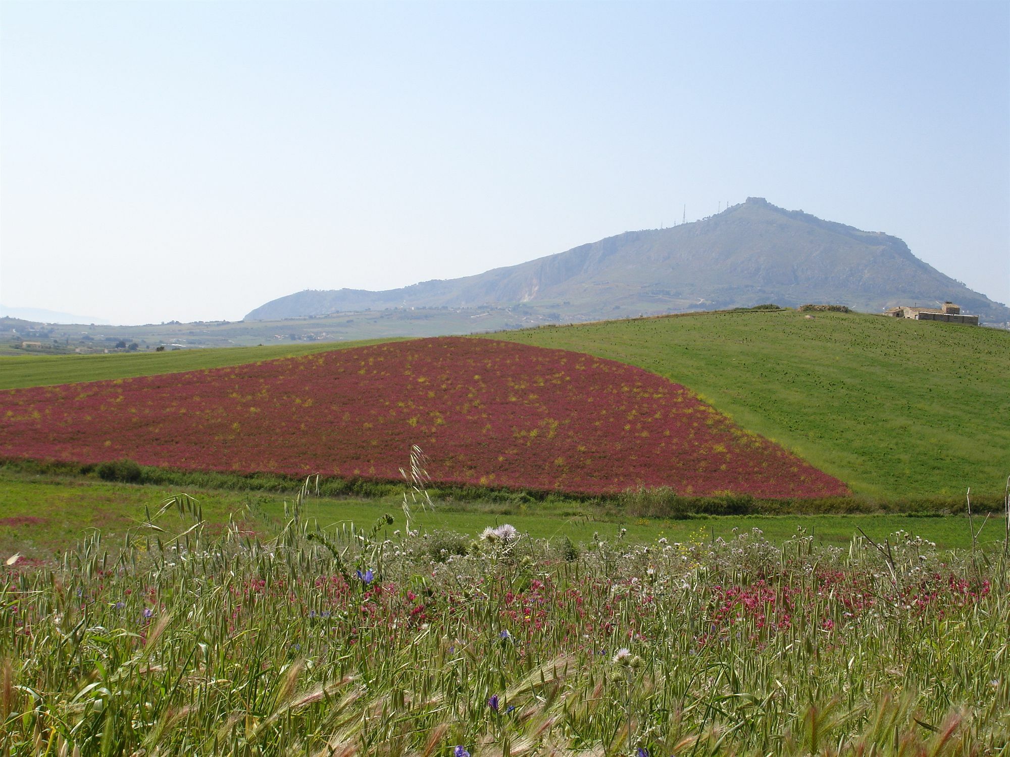 Bed & Breakfast Candalu - Giardinata Valderice